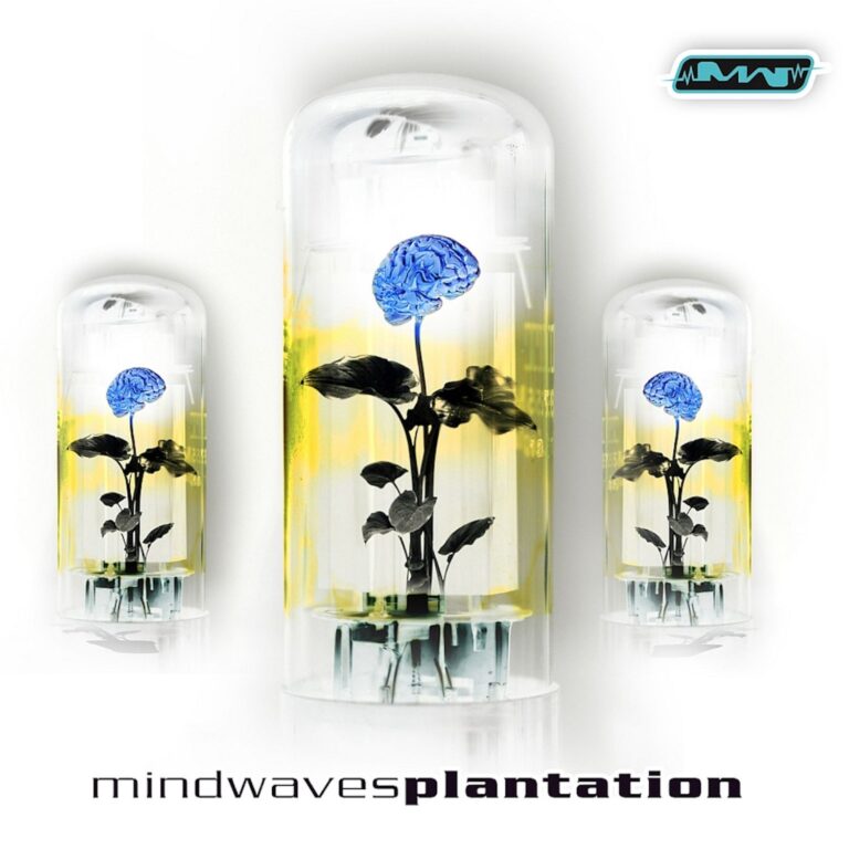 Plantation_1500_web Plantation – cover art